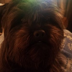 Meet your Posher, Cyndi